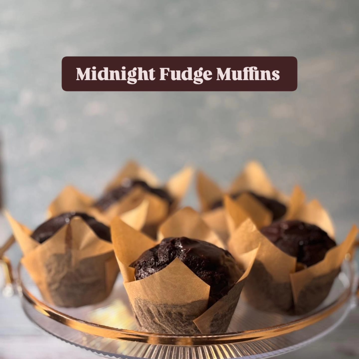 Midnight Fudge Cupcakes